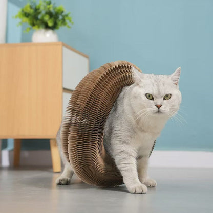 Magic Organ Cat Scratching Board
