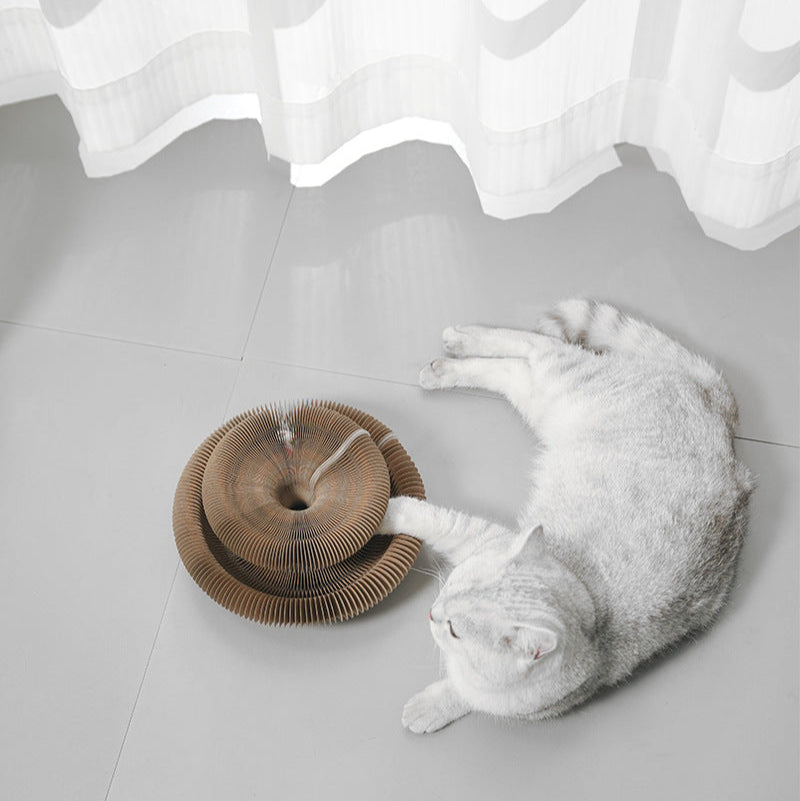 Magic Organ Cat Scratching Board